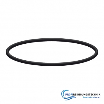 O-Ring für Filtergehäuse